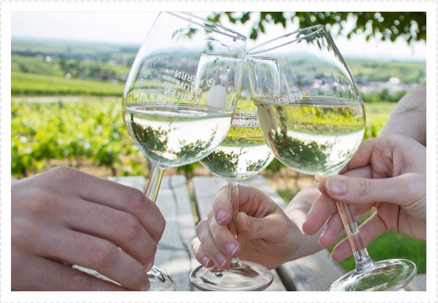 Three people are clinking wine glasses, with a vineyard in the background.