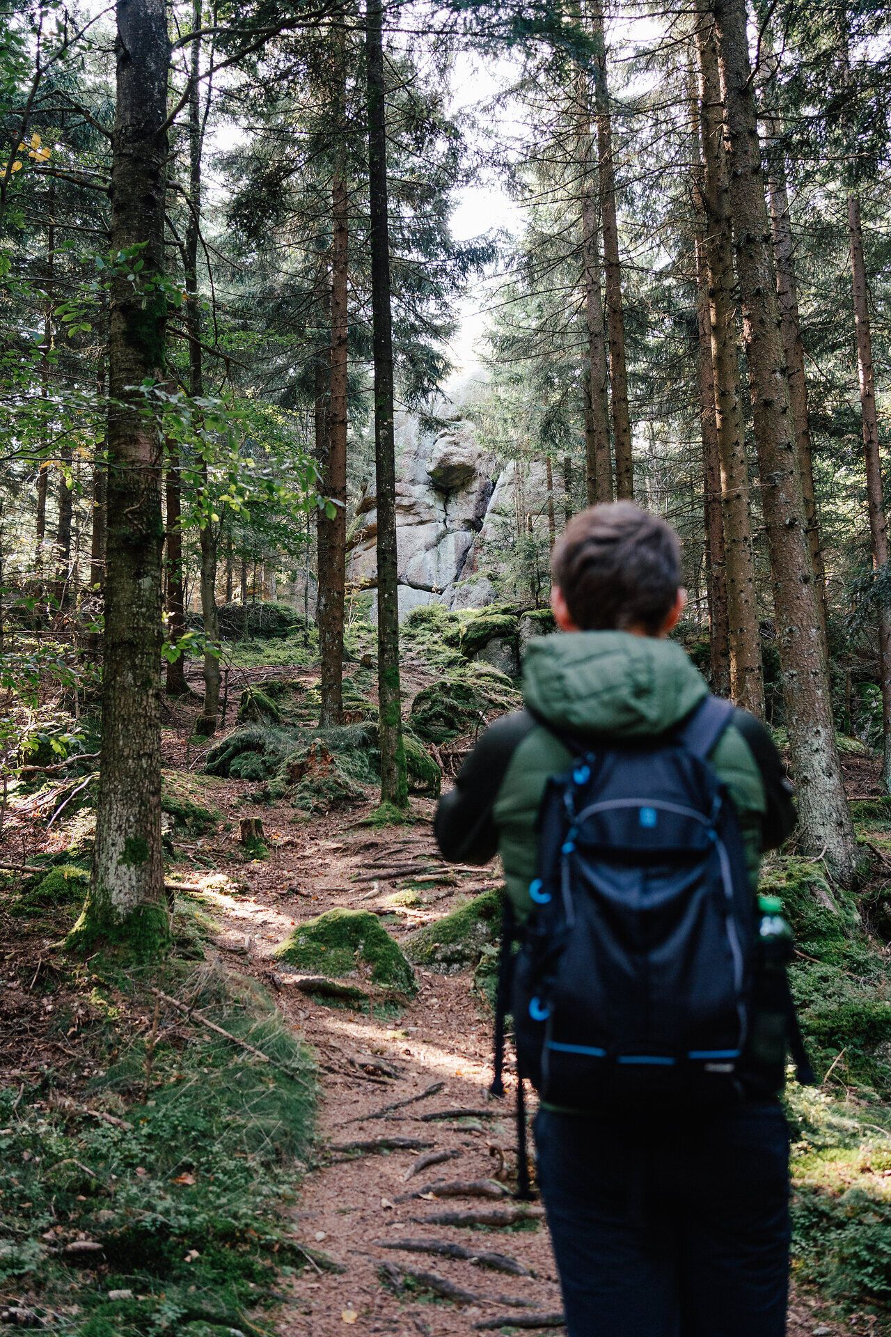 A person with a backpack is hiking on a forest trail in the Ysper Valley.