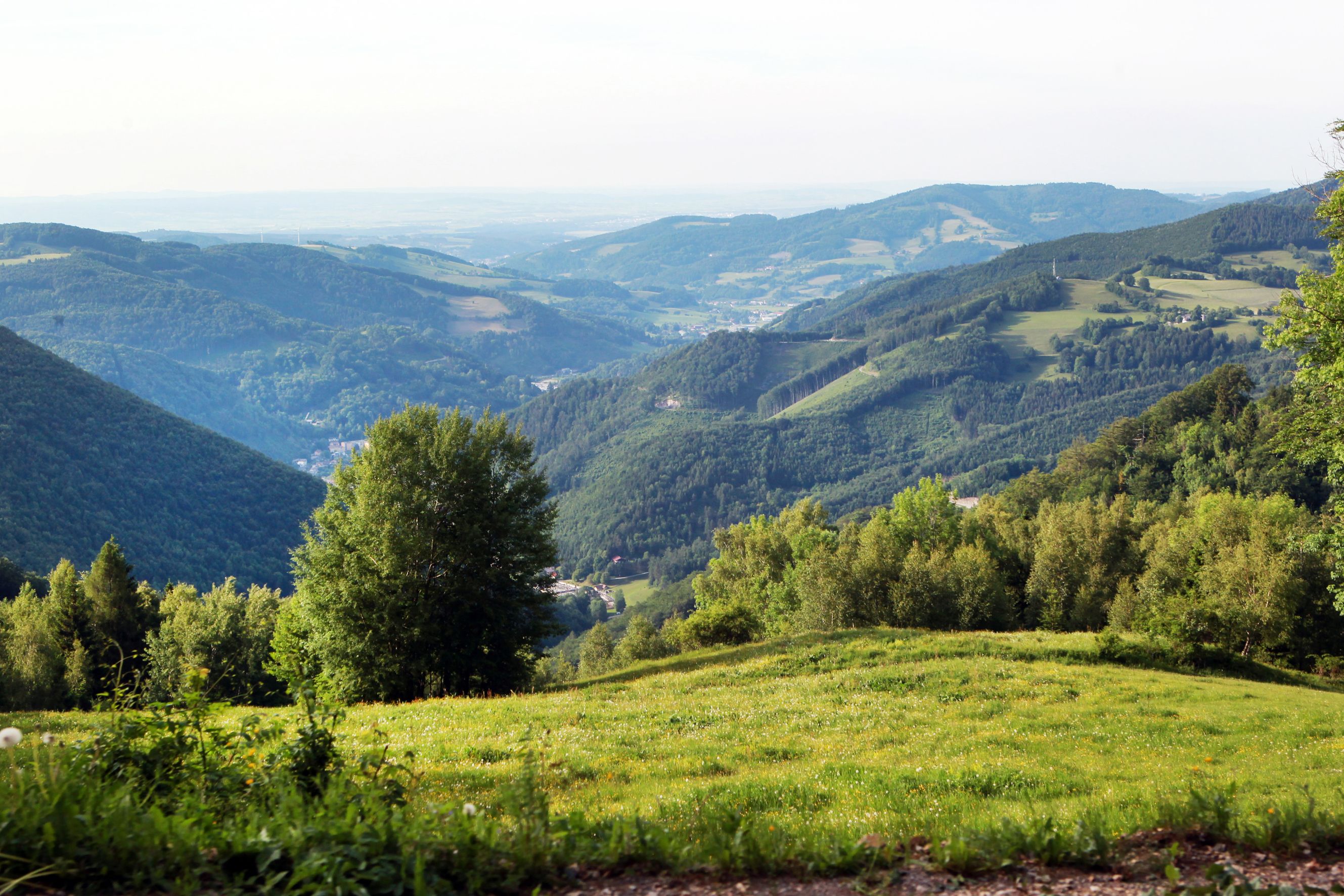 Panoramic view of green hills and valleys from the Muckenkogel.