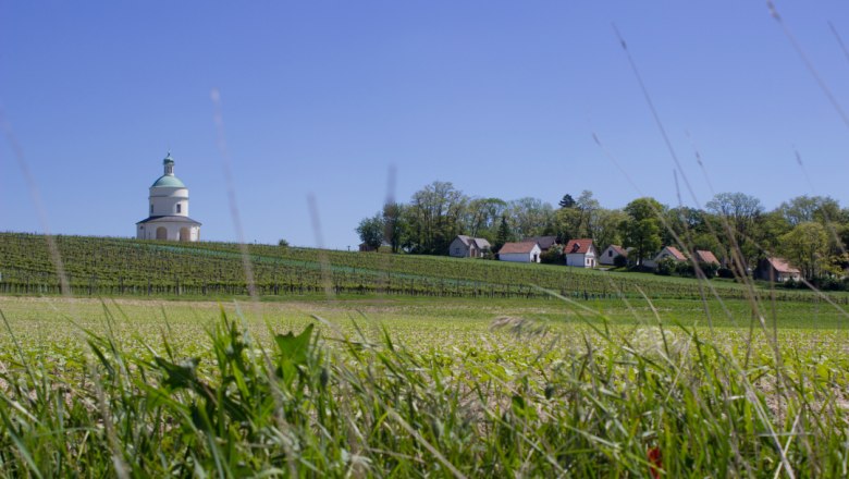 Landscape with chapel, vineyards and houses under a blue sky.