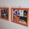 A row of picture frames with photos on a white wall.