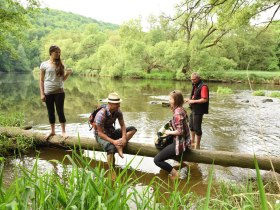 Merkersdorfer Rundwanderweg, &copy; Natinalpark Thayatal / &Uuml;bl