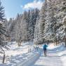 Person cross-country skiing on a snow-covered forest path.