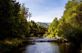 Helenental Schwechat, © Wienerwald
