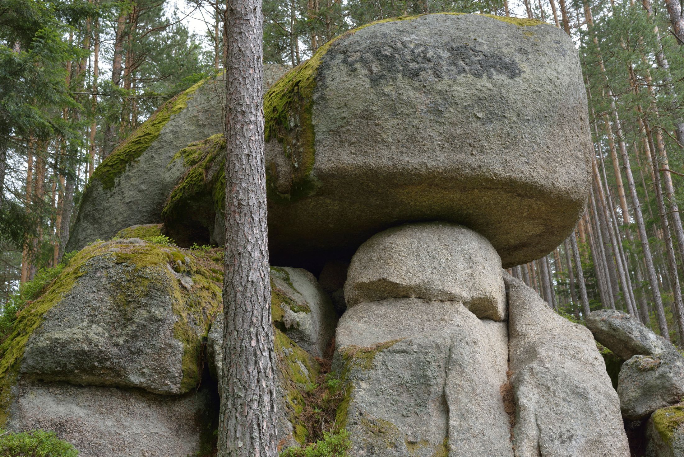 Large, moss-covered rock in the forest, shaped like a mushroom.