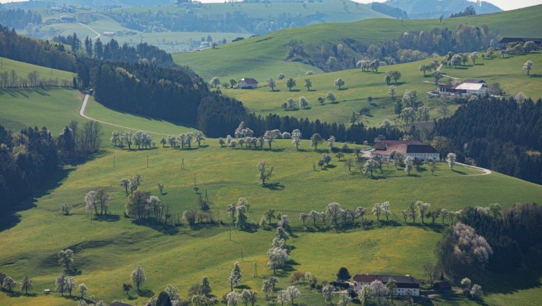 Photo point Mostviertel, © schwarz-koenig.at