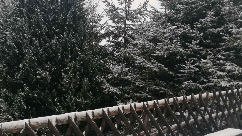 Snow-covered bench and trees in winter.