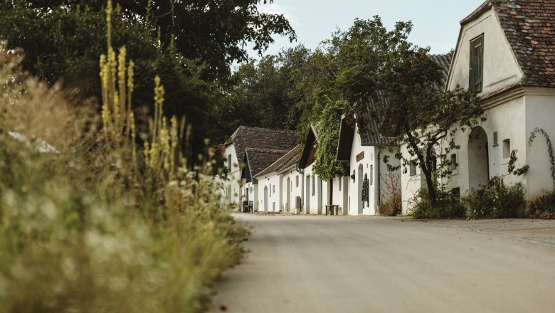 A picturesque wine cellar lane with white buildings and trees in Mailberg.