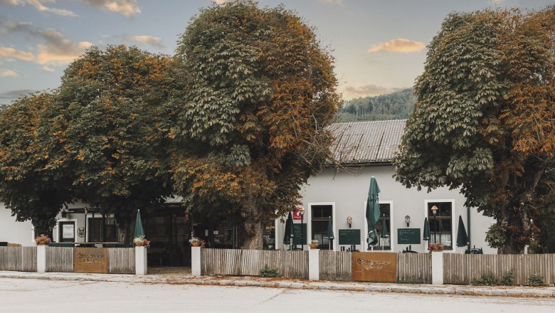 A traditional pub in Lilienfeld with large trees and a wooden fence in front of it.