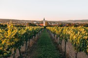 Langenlois, Austria's largest wine town, © Romeo Felsenreich