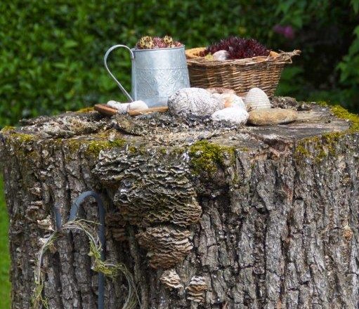 Guestbook, © Melanie Roseneder