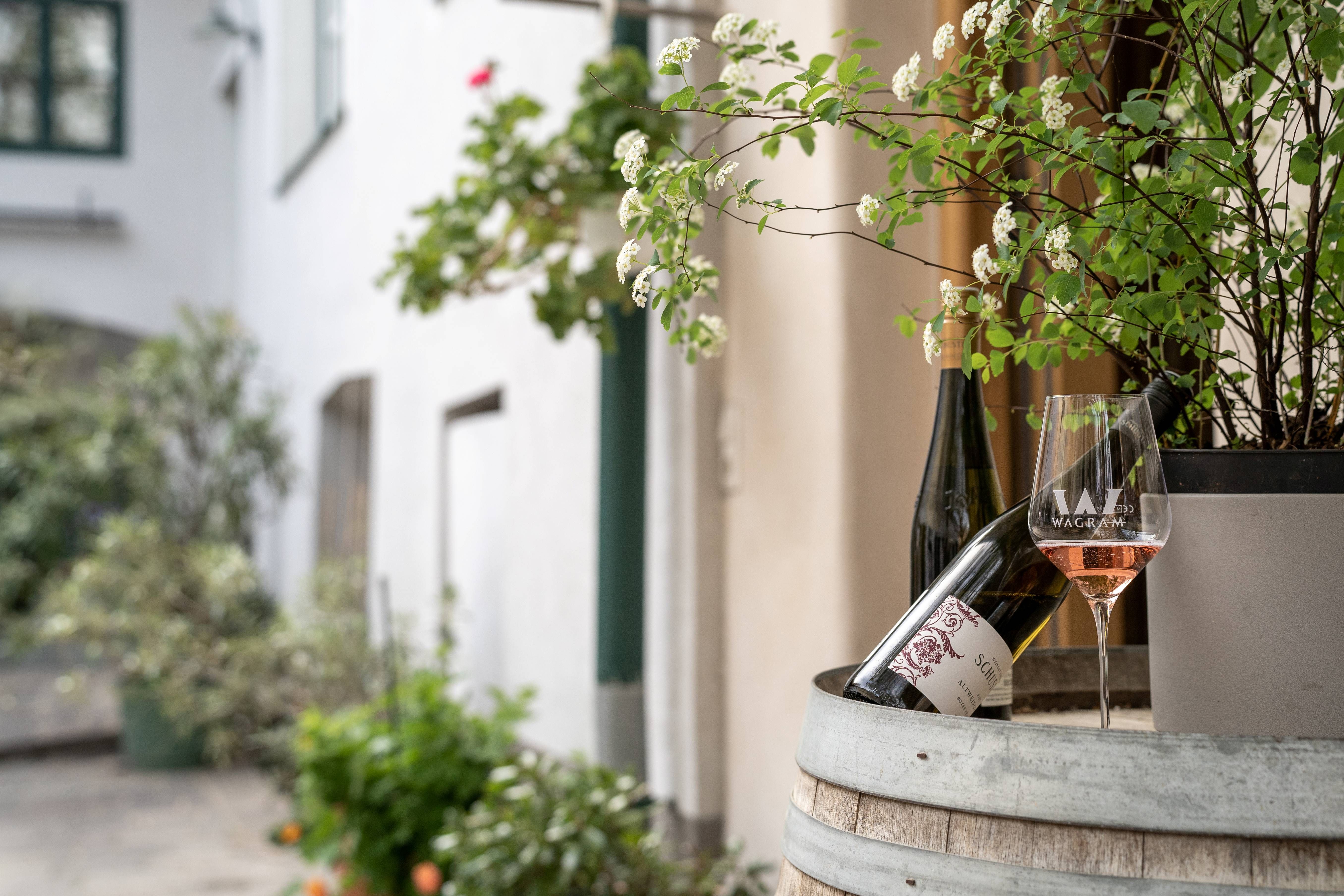 Inner courtyard of the Schuster Winery
