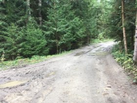 Wanderweg Nr. 33, Natur, &copy; Stadtgemeinde Allentsteig