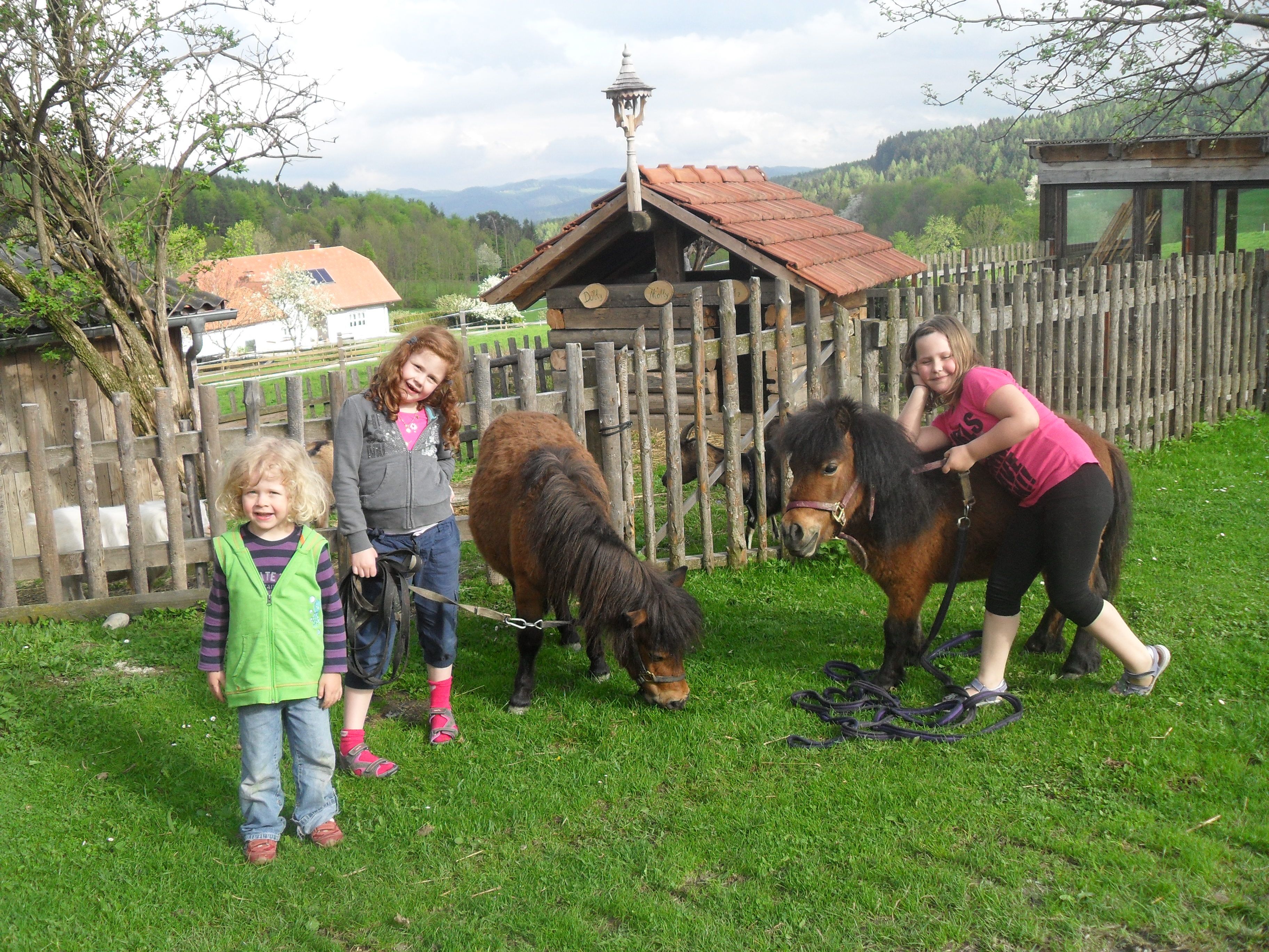 Three children with two ponies on a meadow in front of a wooden fence.