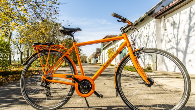 An orange bicycle is parked on a sunny street, surrounded by trees and buildings.