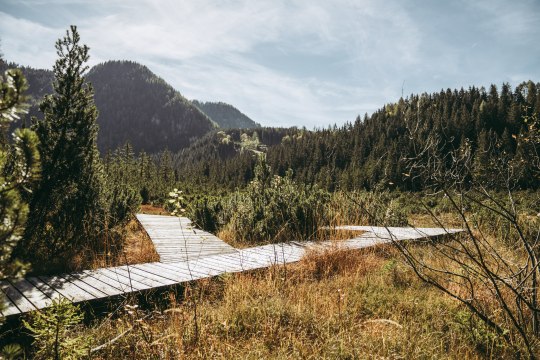 On the way in the Leckermoos nature reserve, © Max Mauthner