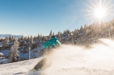 Keyvisual Winter Startseite, © Niederösterreich-Werbung/ Fred Lindmoser