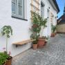 Paved path with potted plants in front of a white building.