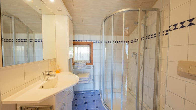 Bathroom Waldhaus, © Ludwig Fahrnberger