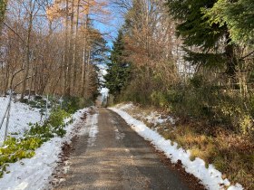 Sparzieren durch ein idyllisches Waldst&uuml;ck mit Blick auf beeindruckende Villen, &copy; Wiener Alpen in Nieder&ouml;sterreich