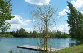A small jetty on a lake with trees and a blue sky in the background.