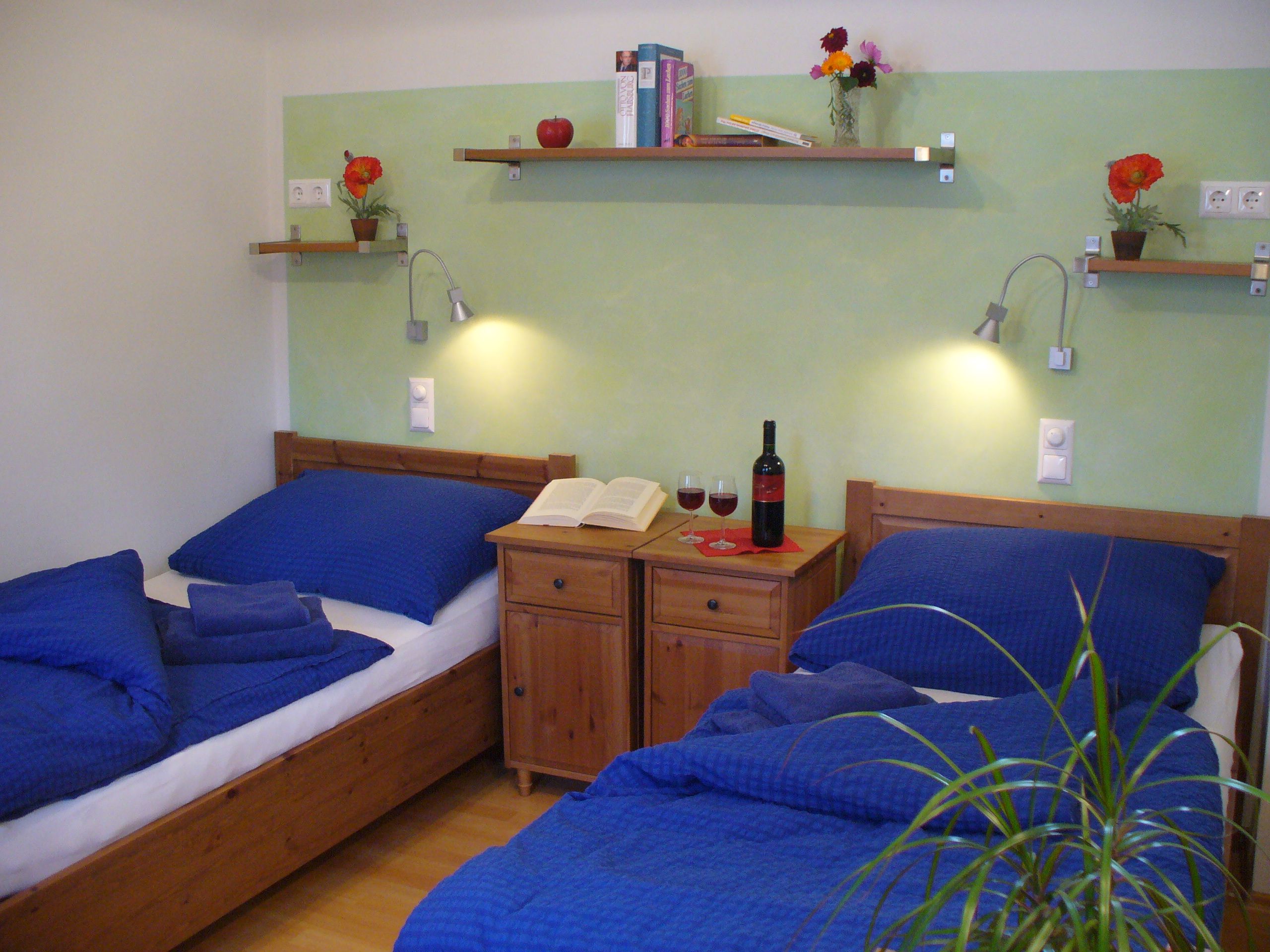 Double room with blue bed linen, bedside table with wine bottle and glasses, bookshelves and plants.