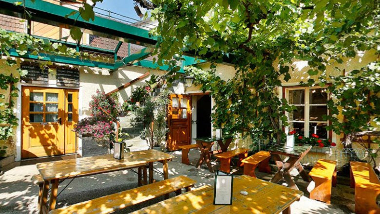 A cozy courtyard with wooden benches and tables, surrounded by green vines and plants.