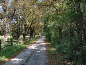 Ortsspaziergang Eckartsau, Weg durch den Au-Wald, © Unknown