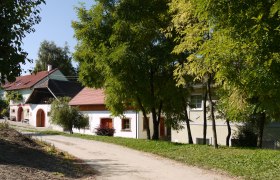 A picturesque wine cellar lane with traditional buildings and trees.