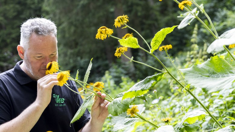 TVA Produktions- und Vertriebs GmbH, &copy; Theo Kust