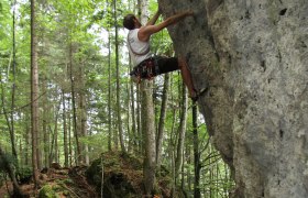 Pure nature on the gorge trail, &copy; Ybbstal Climbing