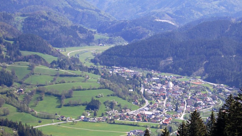 Panoramic view of the village of Türnitz, surrounded by green hills and forests.