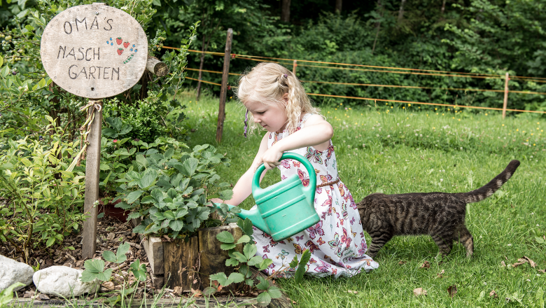 Vacation cottage Oberbach, &copy; Wolfgang Wutzl