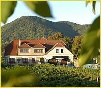 A building with a red roof in front of a wooded hill surrounded by vines.