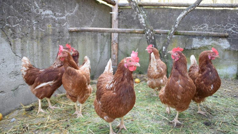 Bodensdorfhof, &copy; Bodensdorfhof