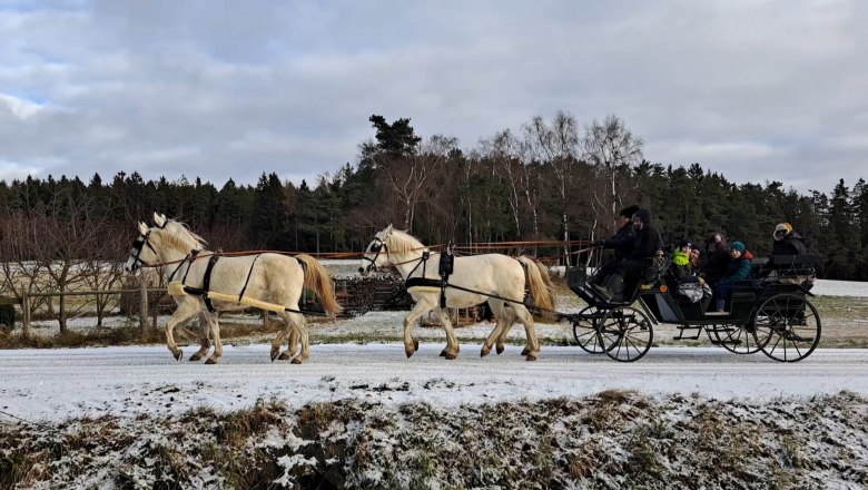 Carriage by the lime trees, &copy; Sonja H&ouml;gler