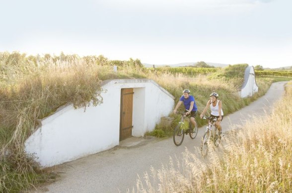 Cycling in the Retz region, © Niederösterreich-Werbung/Astrid Bartl