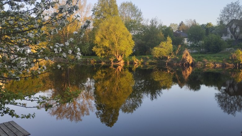 A calm lake with trees and their reflection in the water, surrounded by flowering branches.