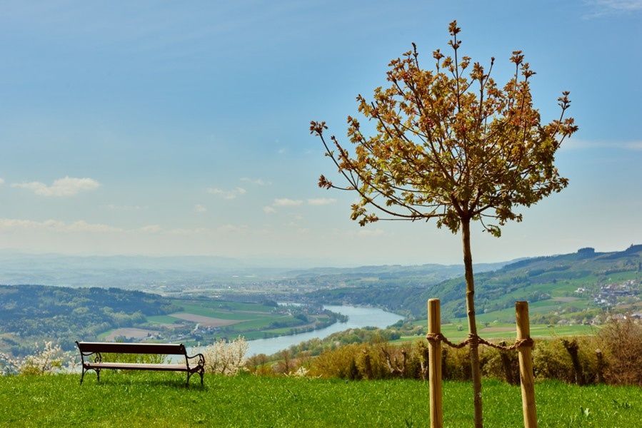 View of the Danube and Nibelungengau from the monastery garden in Maria Taferl