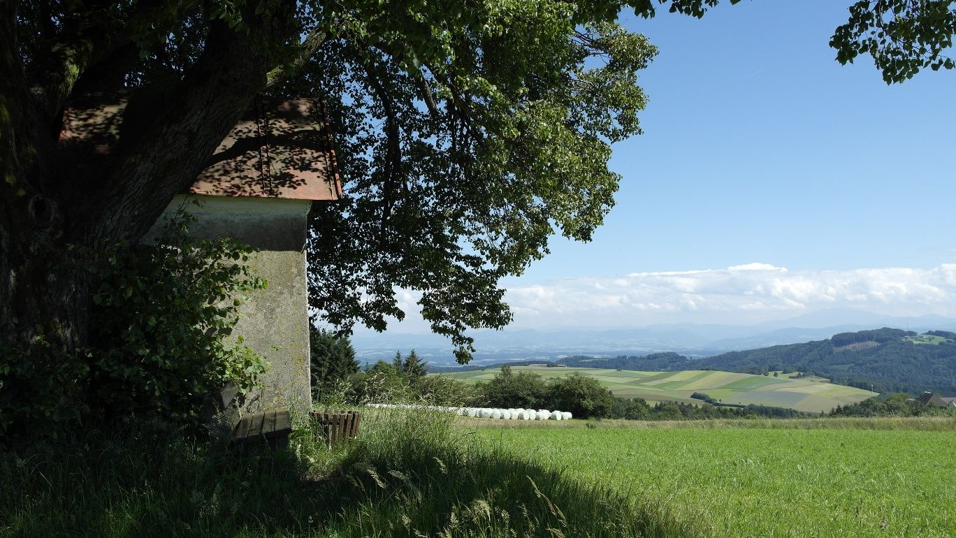 Brandstätter Kreuz - Outlook