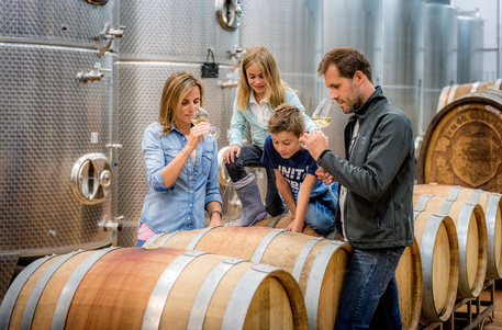 Herbert Groiss Winery, &copy; Weingut Herbert Groiss