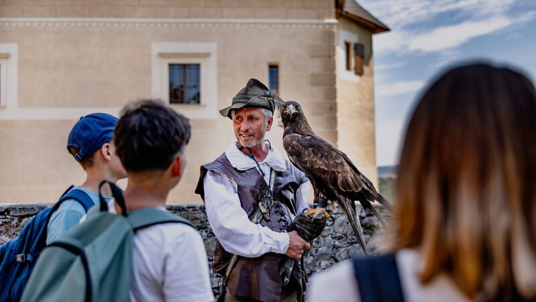 A falconer shows a young audience an eagle in front of a Renaissance castle.
