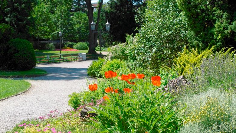 A well-kept park path with blooming red flowers and green bushes in Sparkassenpark St. Pölten.