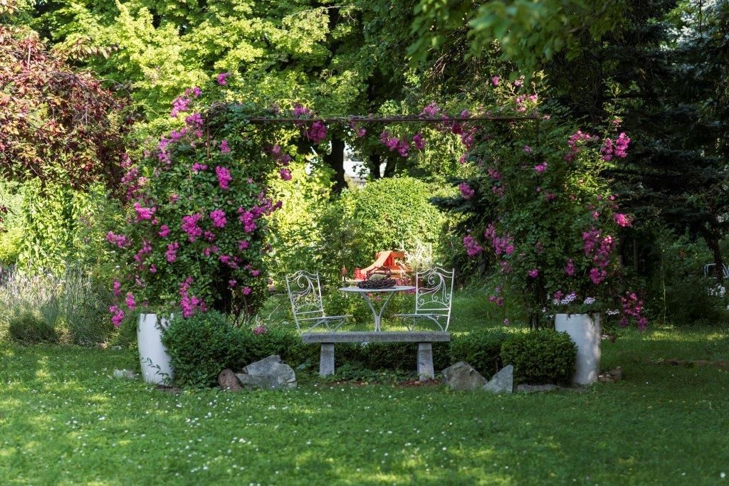 An idyllic garden with a white table and chairs, surrounded by flowering rose arches.