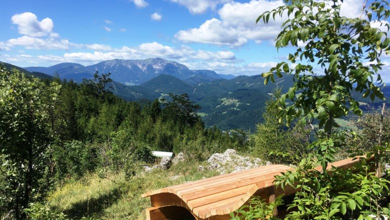 Wooden bench with mountain view and trees in the foreground.