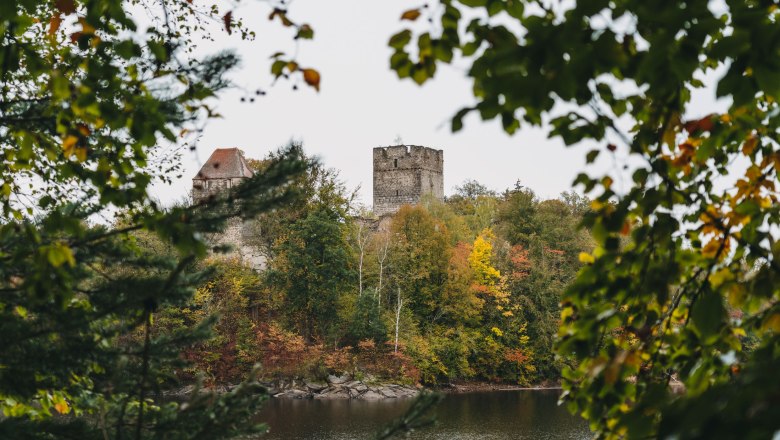 View of the Lichtenfels ruins on the Ottenstein reservoir, surrounded by autumnal trees.