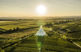 Bird's eye view of the stupa in the middle of the vineyards