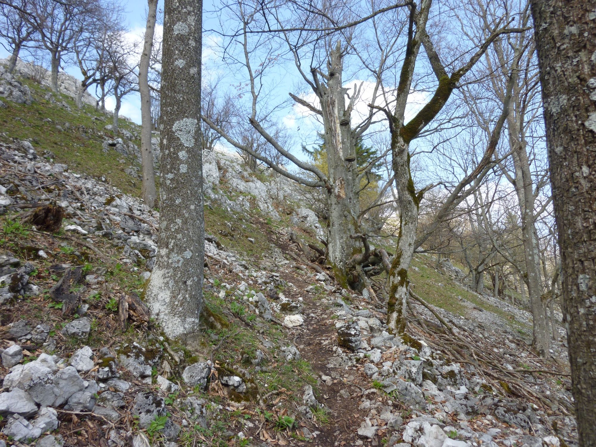 Path just below the summit
