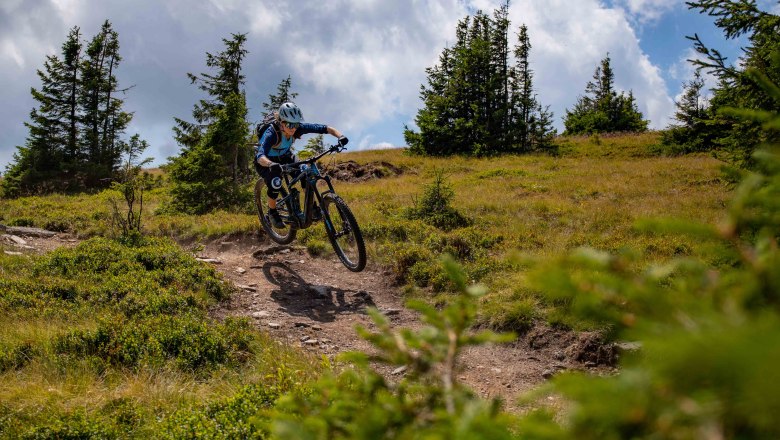 Mountain biker jumping on a forest path in a mountainous landscape.