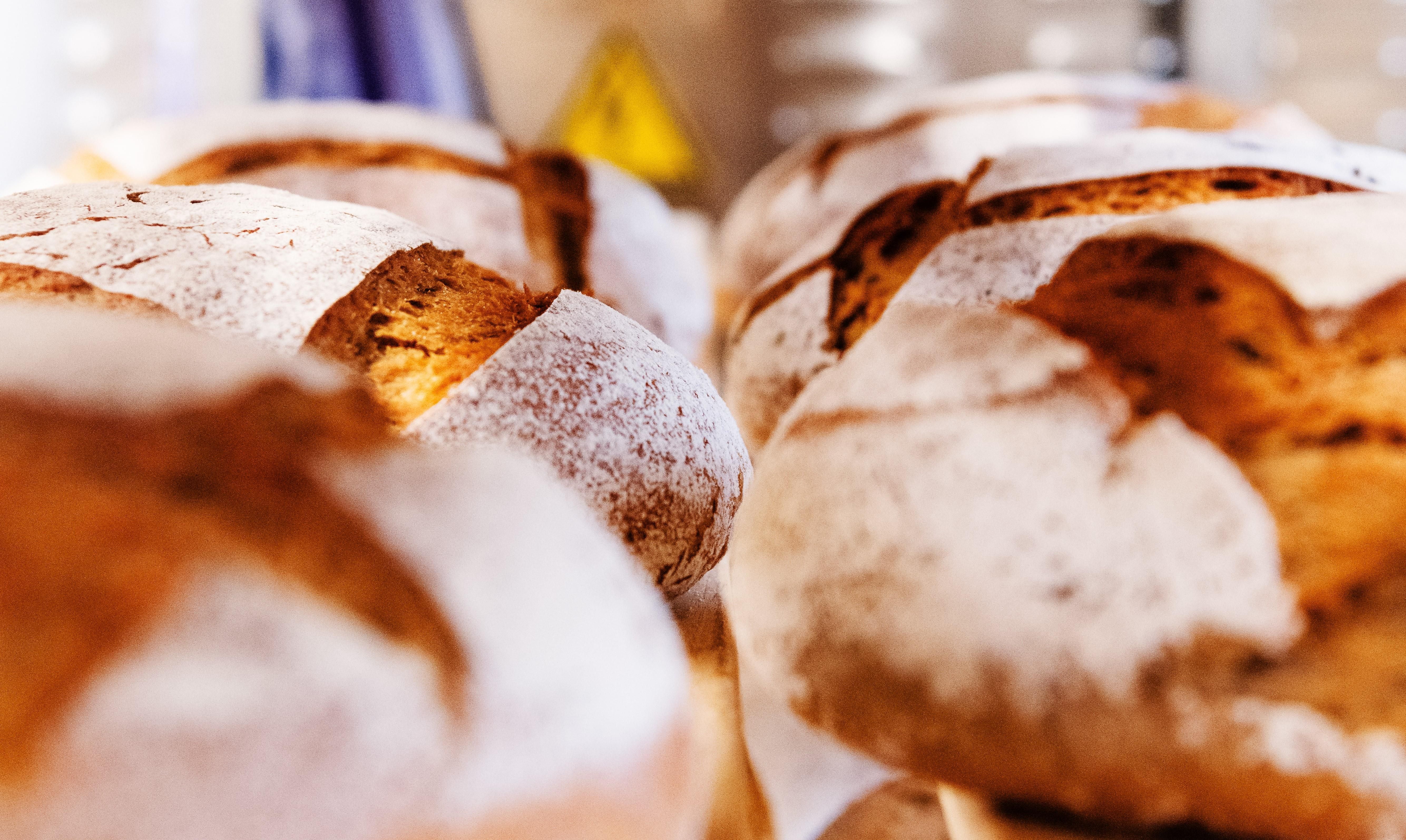 Bread from the farm 